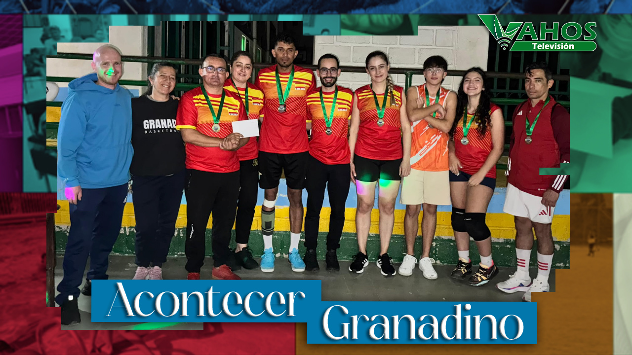 Imagen voleibol granada