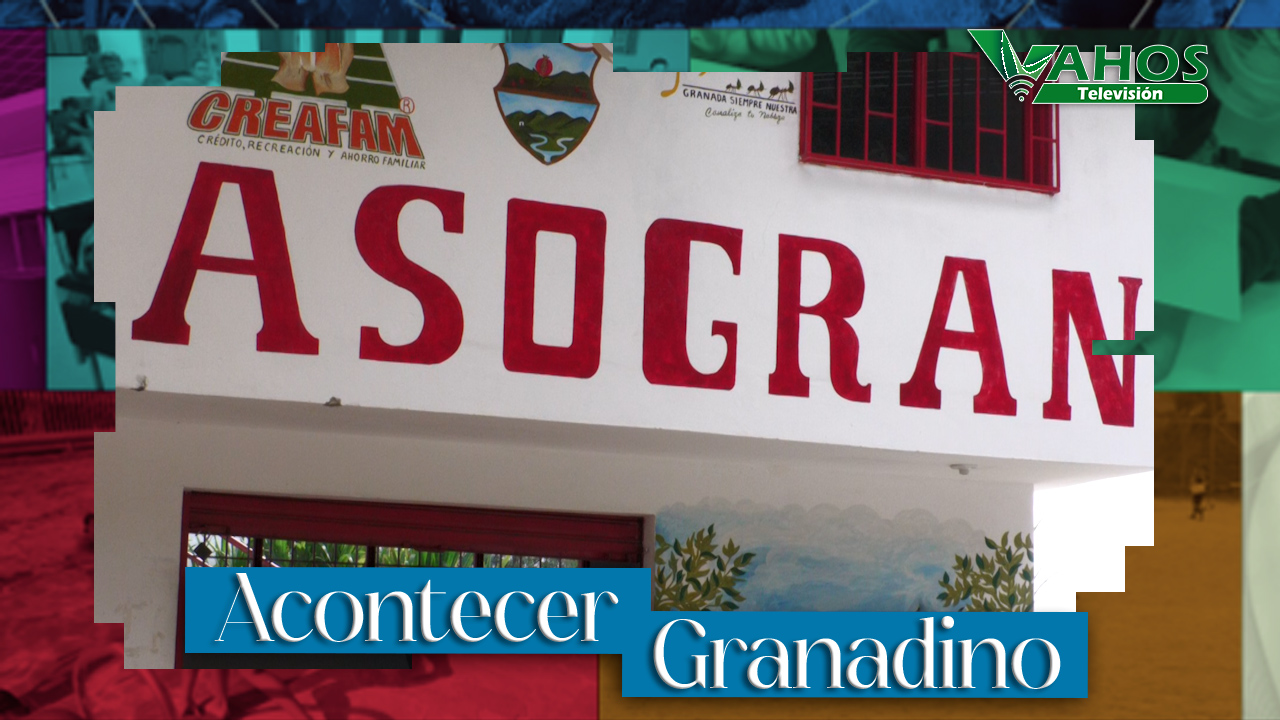 Imagen asogran granada